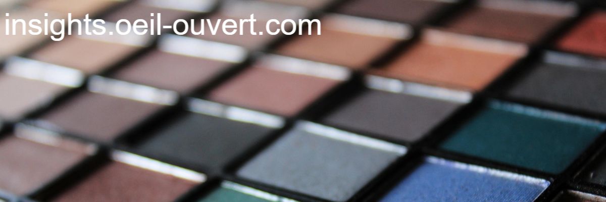 insights.oeil-ouvert.com